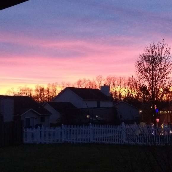 Meet your Posher, Ronda - Picture 8 of 8